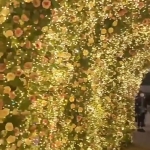 Χριστουγεννιάτικα Λαμπάκια 1500 LED 50m με Τηλεχειριστήριο Θερμό Λευκό