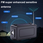 Ηλιακό Ηχείο Bluetooth DV-666 10W με FM και Φακό
