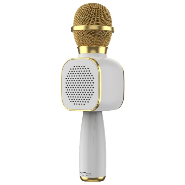 Μικρόφωνο Καραόκε Bluetooth DS-813 με Ηχείο και LED