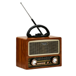 Ρετρό Ραδιόφωνο AM/FM/SW με Bluetooth 5.3, USB, AUX και Κάρτα TF FEEXOT FX-2539B